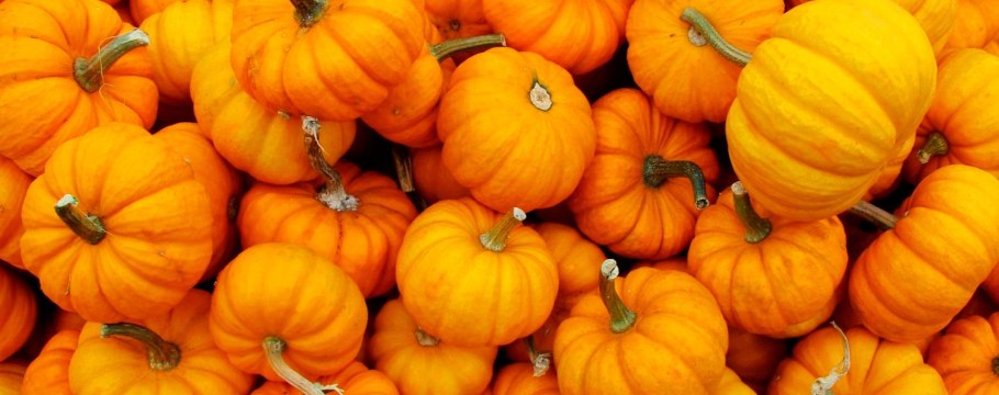 Маленькие тыковки