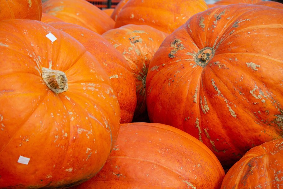 Тыква оранжевая