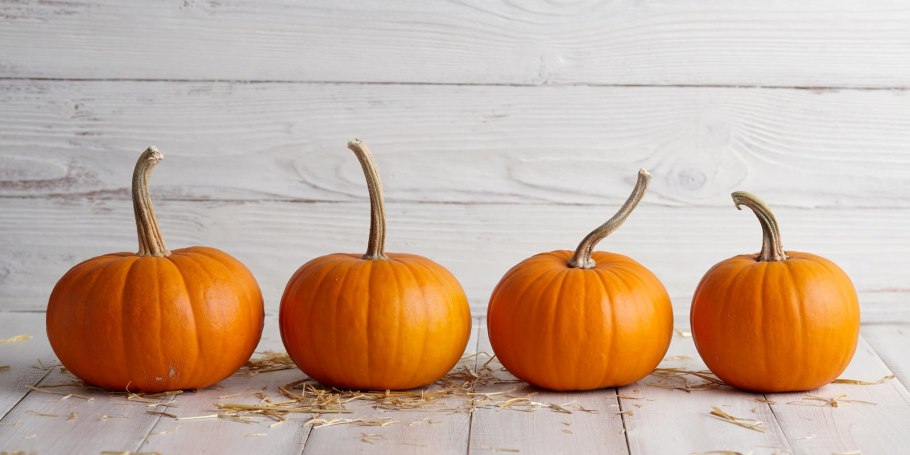 Тыква крупноплодная Стофунтовая