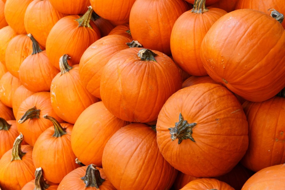 Тыква на деревянном фоне