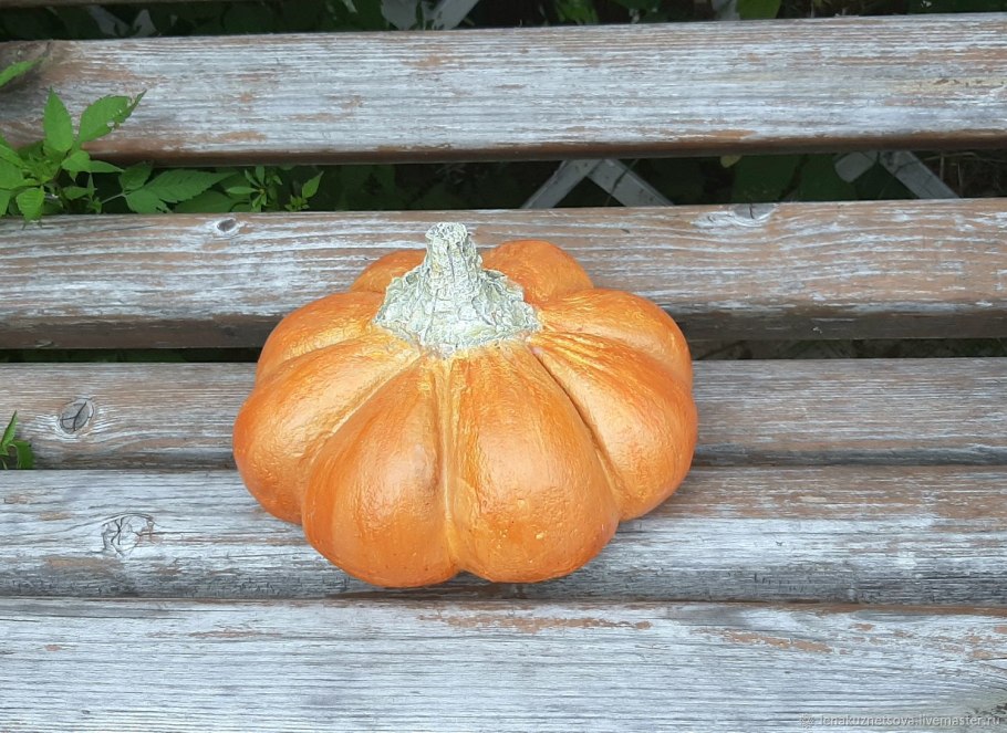 Тыква сорт оранжевое солнце