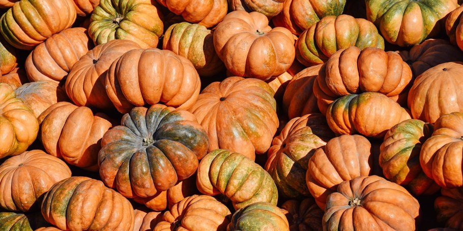 Микста тыква