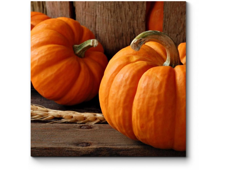 Фотофон с тыквами