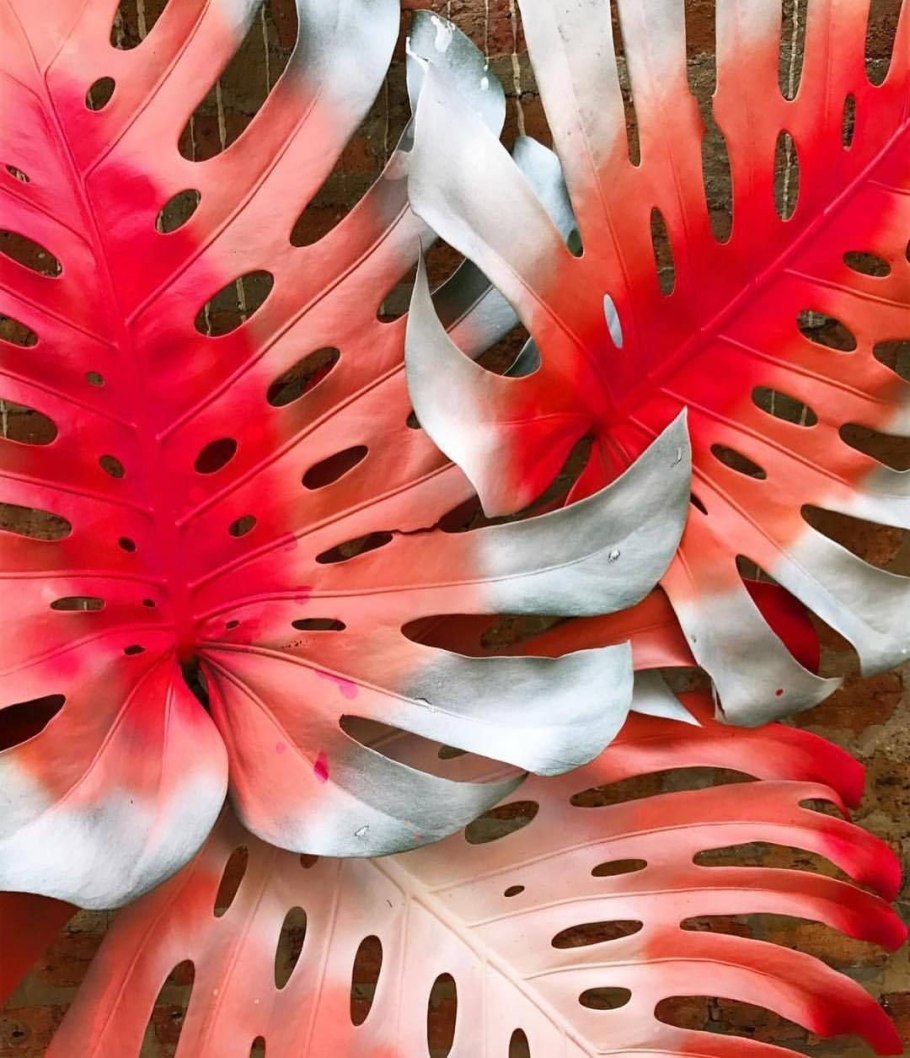 Экзотические листья