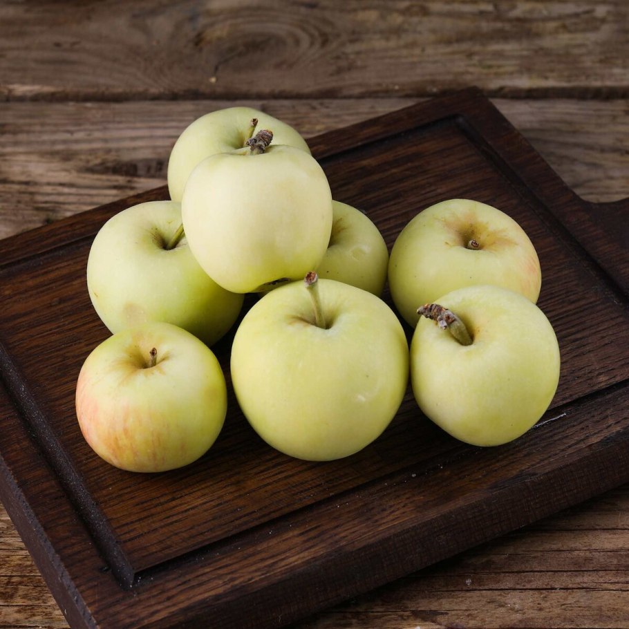 Яблоня белый налив дерево