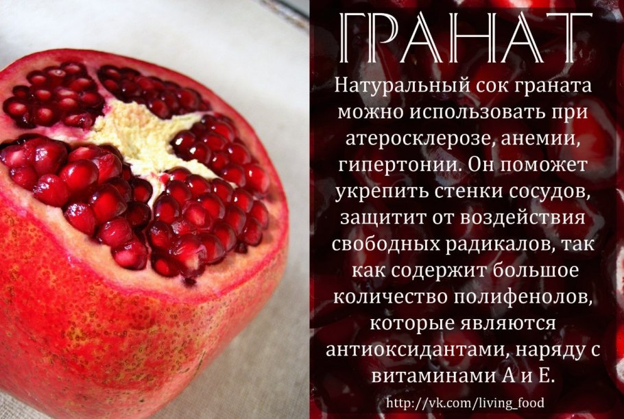 Интересные факты о гранате фрукте