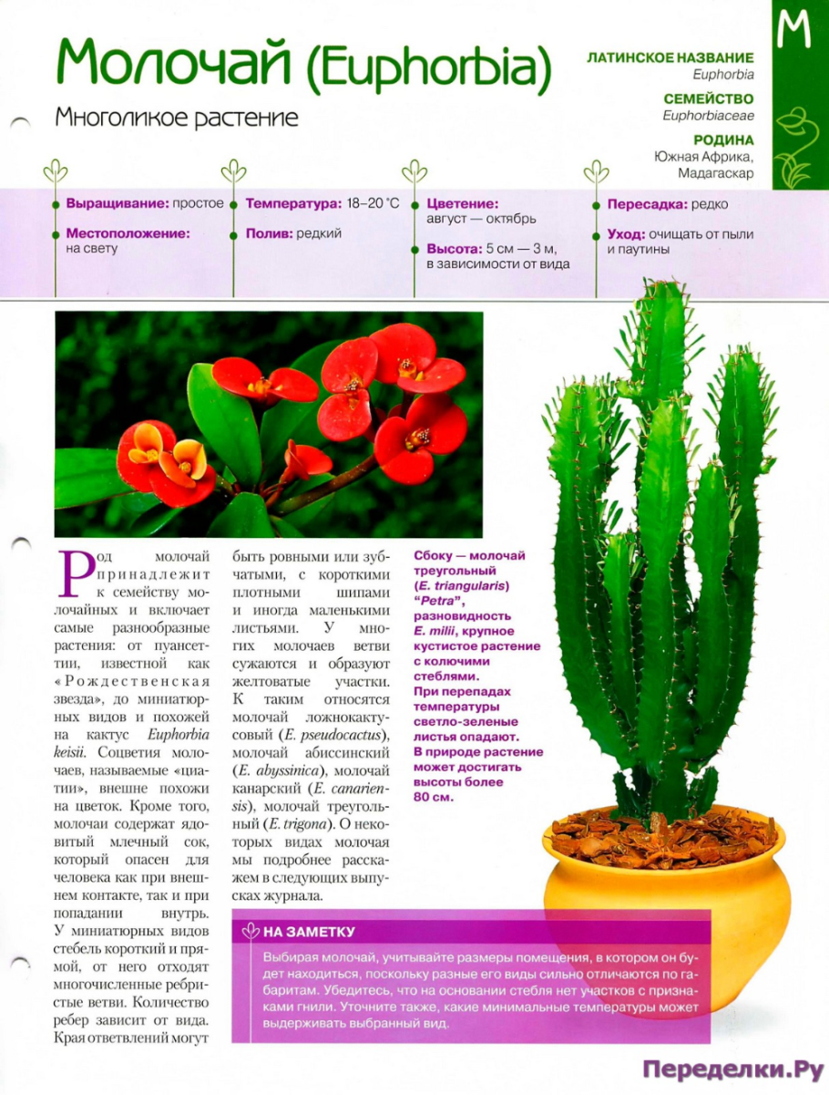 Приспособления растений к среде