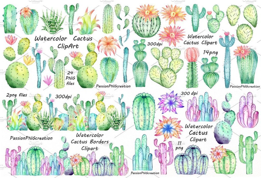 Кактус ventomarme