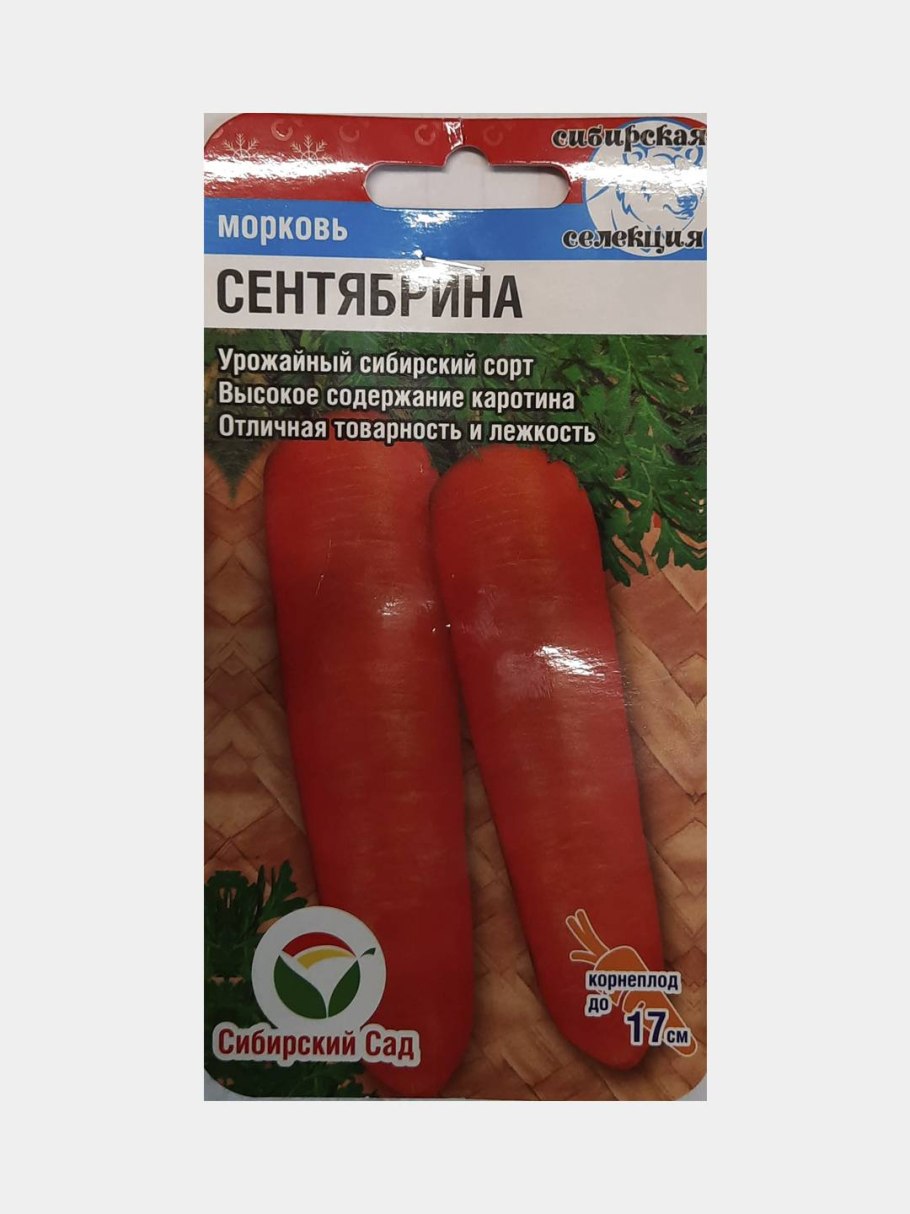 Морковь Сентябрина Сибирский сад