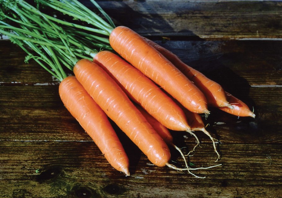 Морковь Лакомка 4гр/10