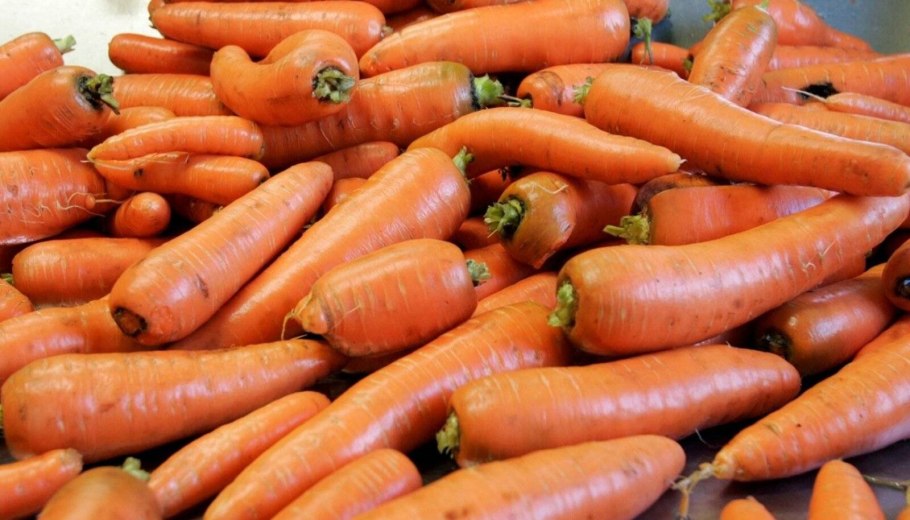 Семена морковь "Сентябрина", 2 г