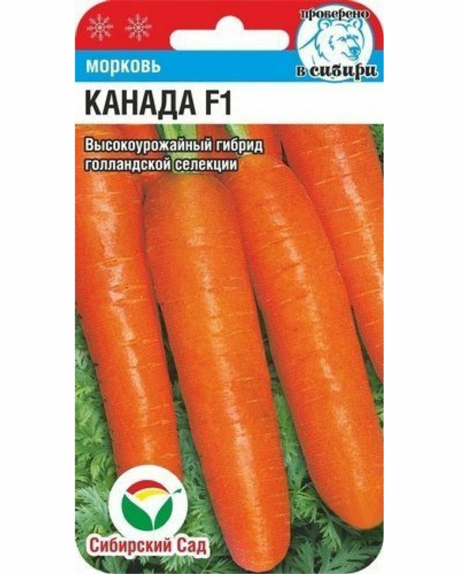 Морковь Абако f1