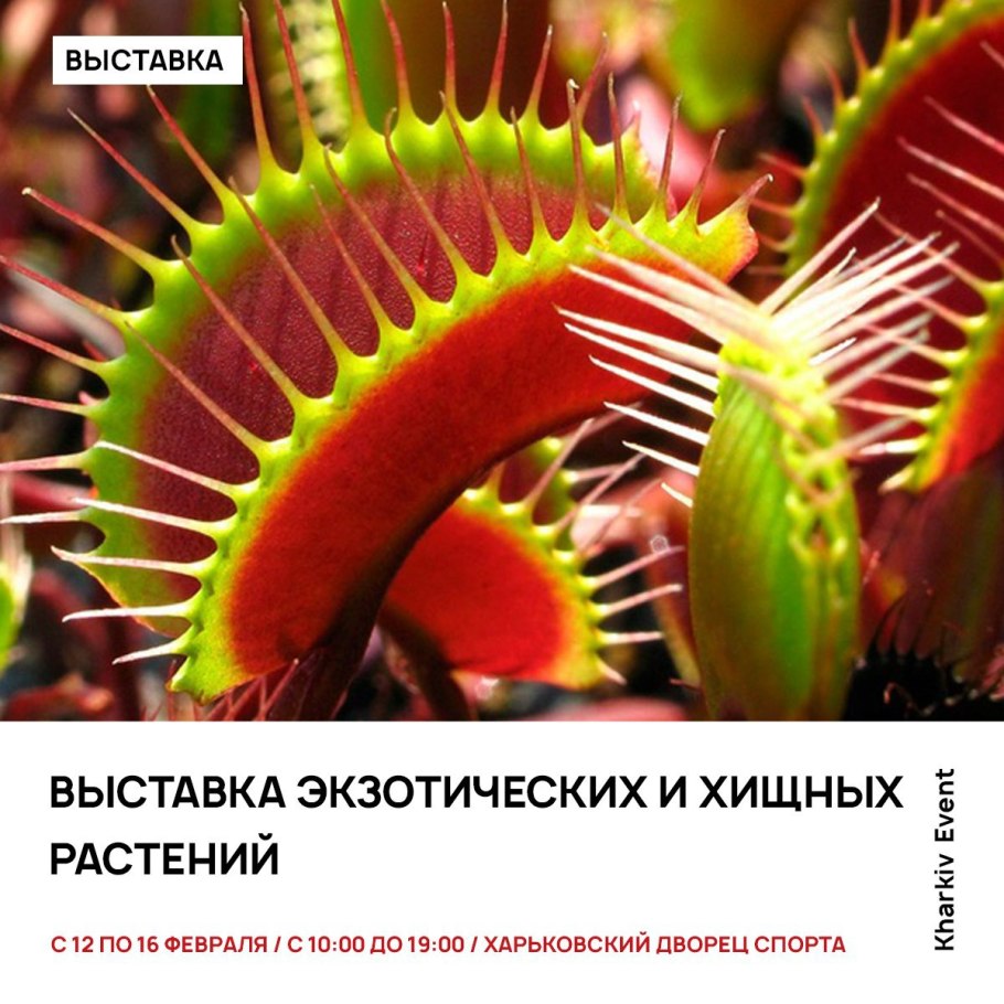 Выставка экзотических растений