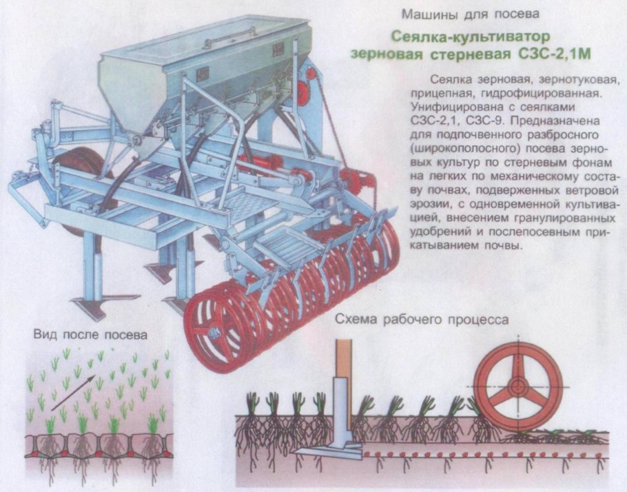 Схема роста подсолнечника