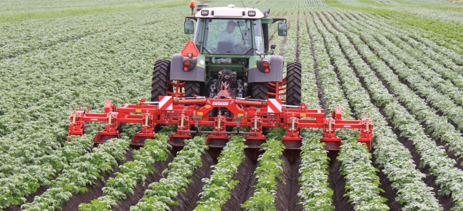 Посев подсолнечника