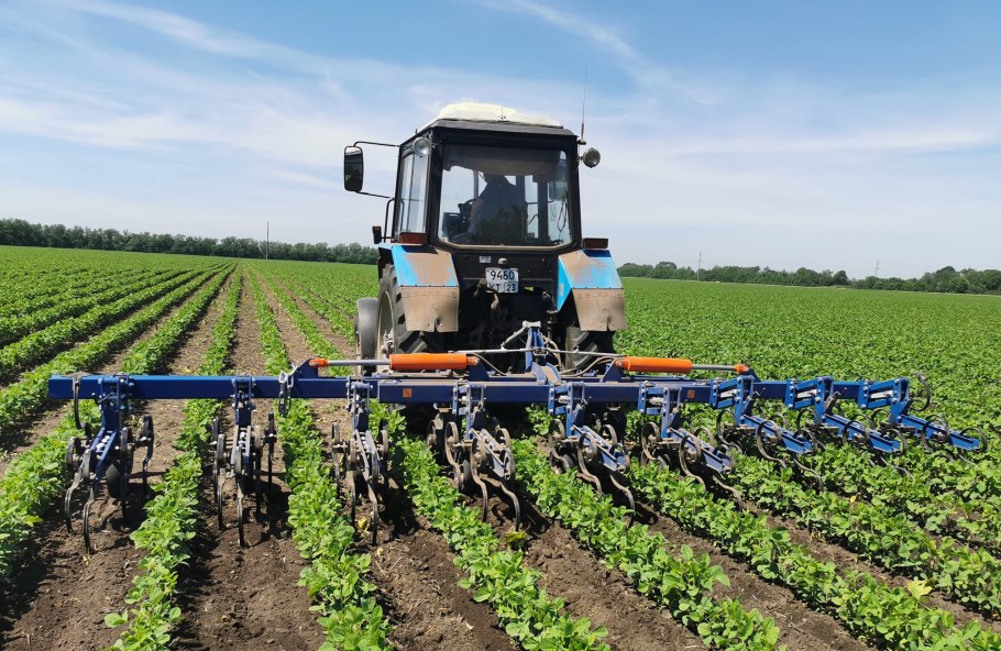 Система защиты подсолнечника