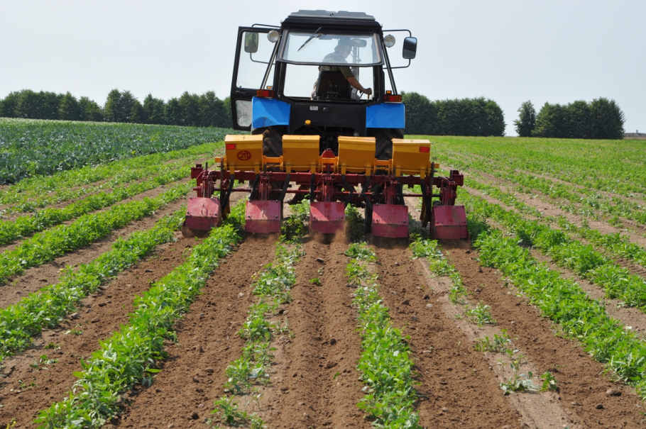 МТЗ 80 С сеялкой для подсолнуха