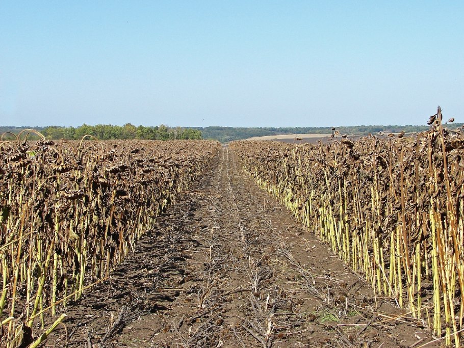 Культиватор фрезерный КФ-2.8