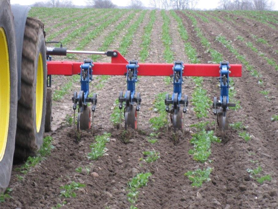 Схема удобрения подсолнечника