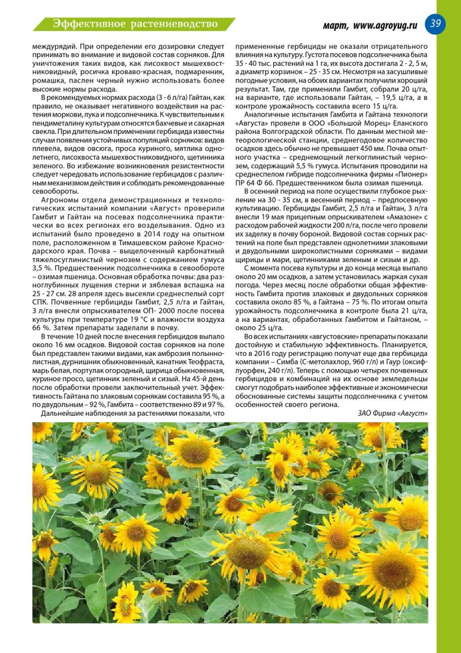 Удобрение подсолнечника