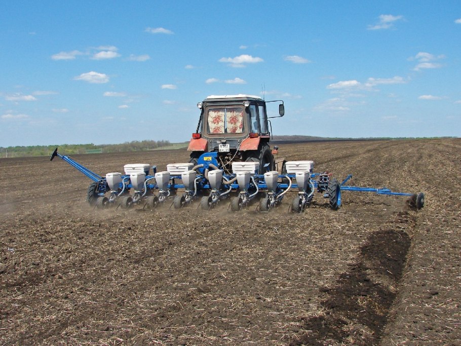 Гибрид подсолнечника Посейдон