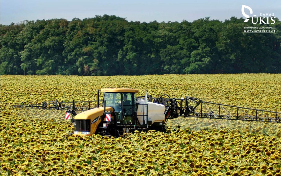 Расход семян костра на 1 га