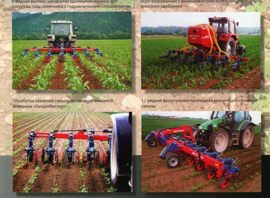 Урожайность семян люцерны с 1 га