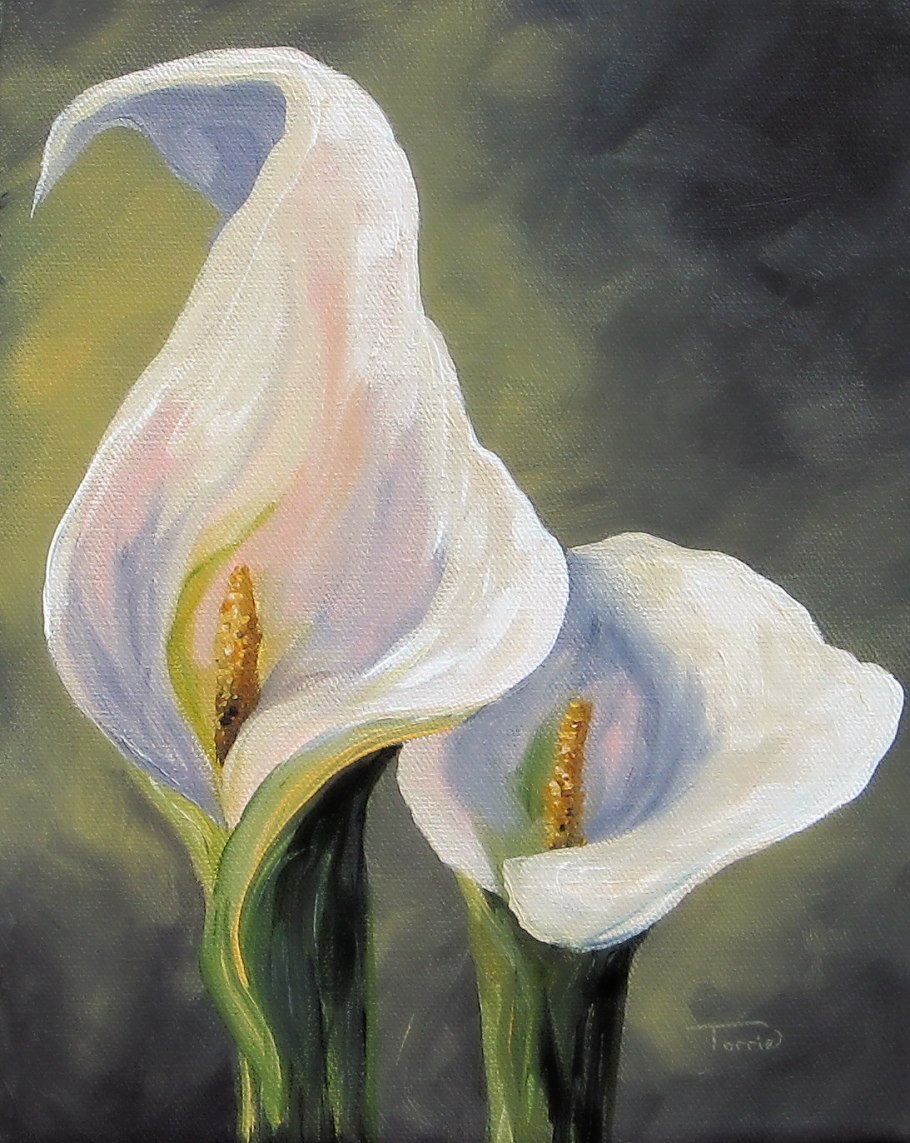 Каллы Эллери Гутьеррес