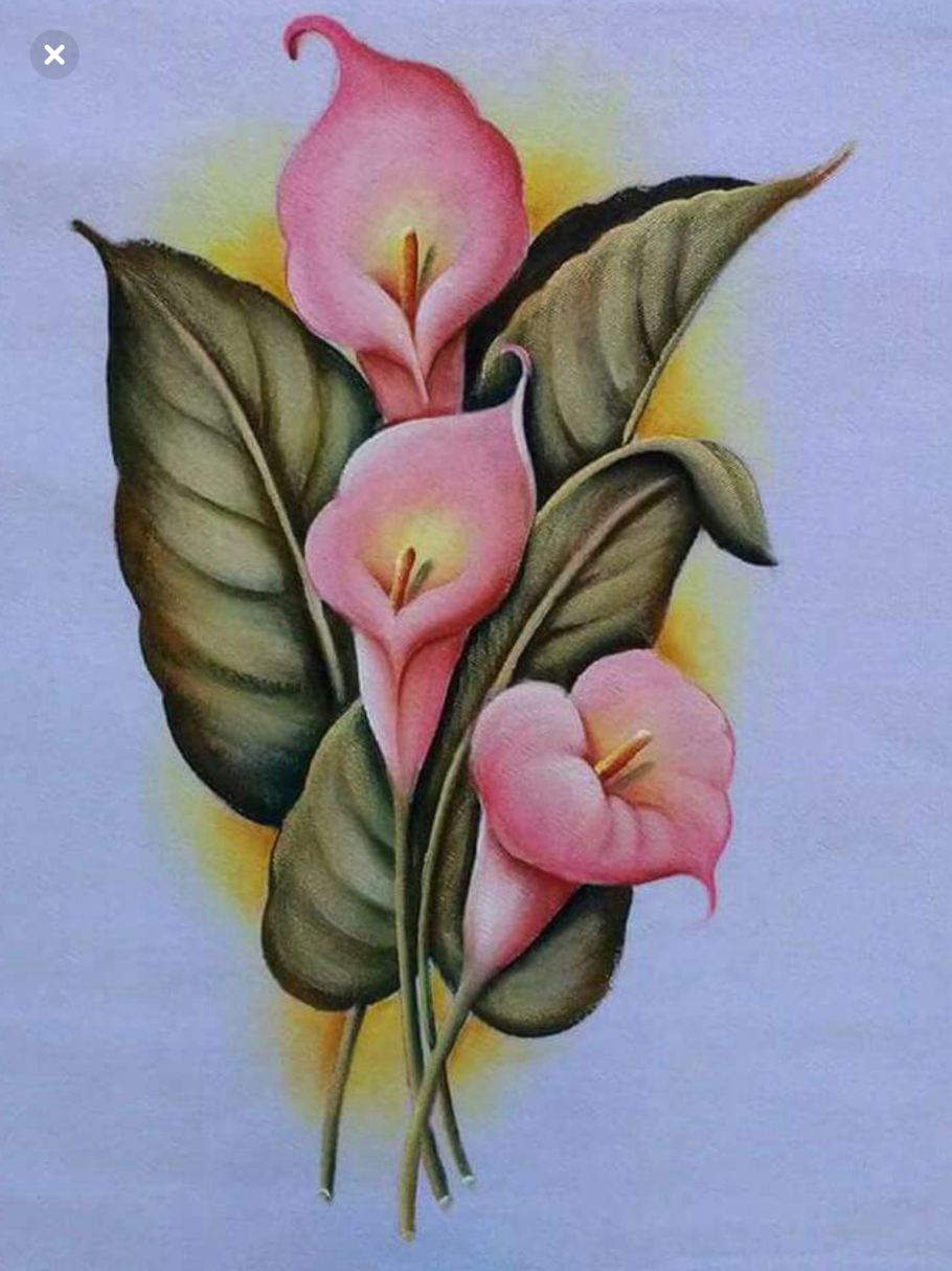 Домашние цветы похожие на каллы