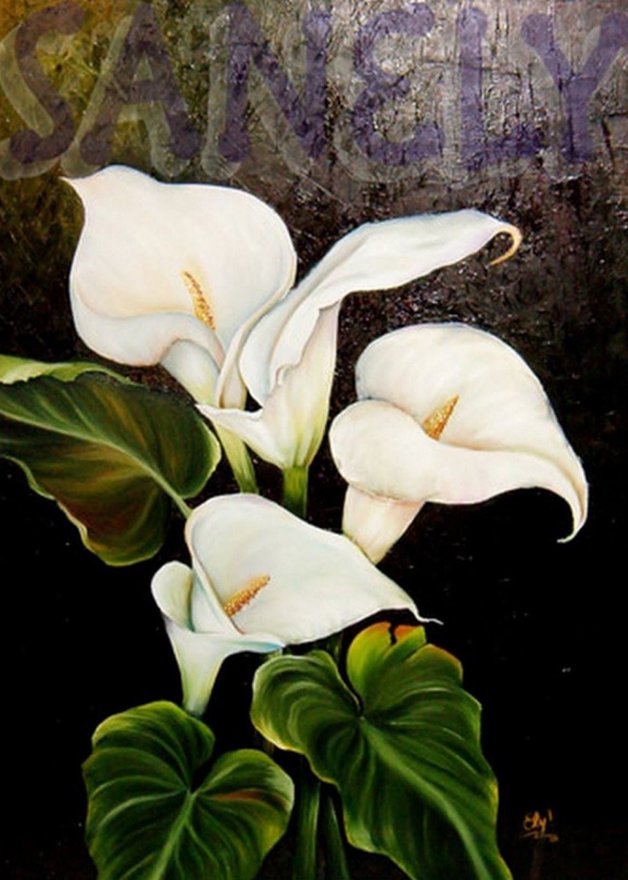 Картины цветы каллы
