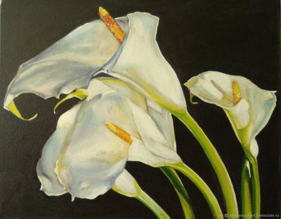 Осип Сидлин каллы