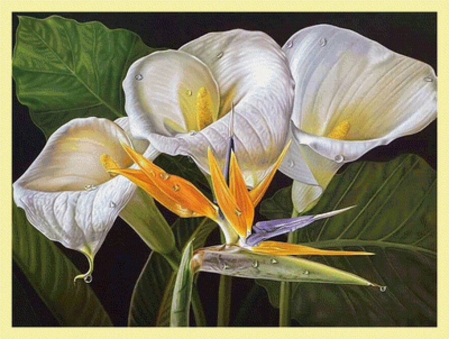 Каллы в живописи великих художников