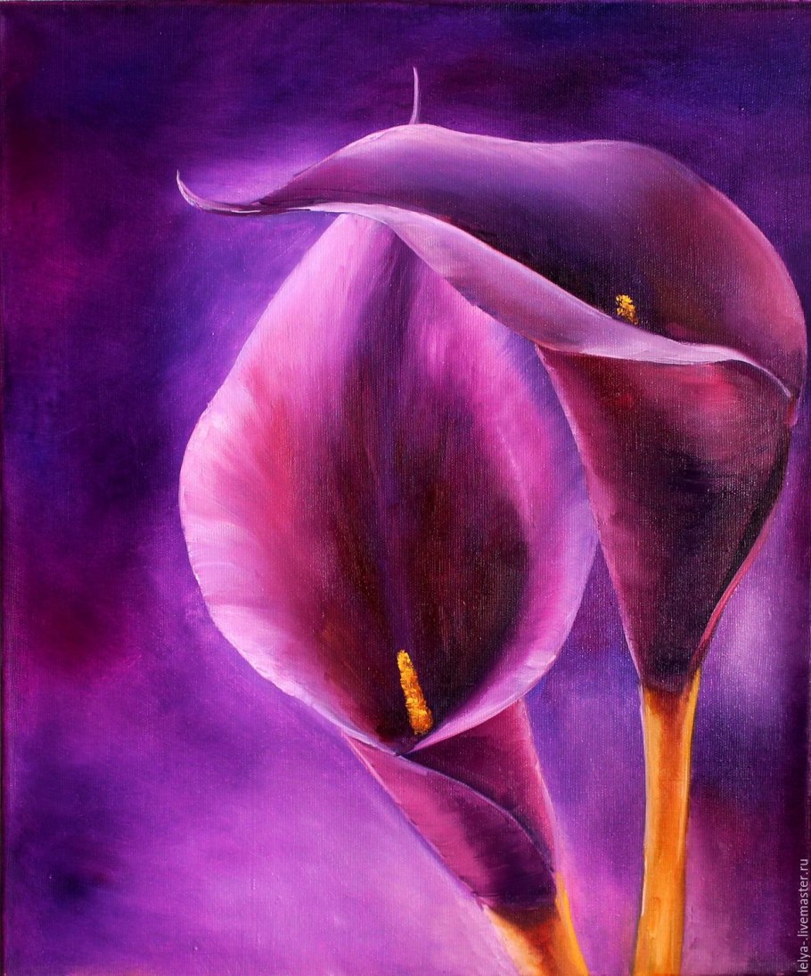 Каллы в живописи