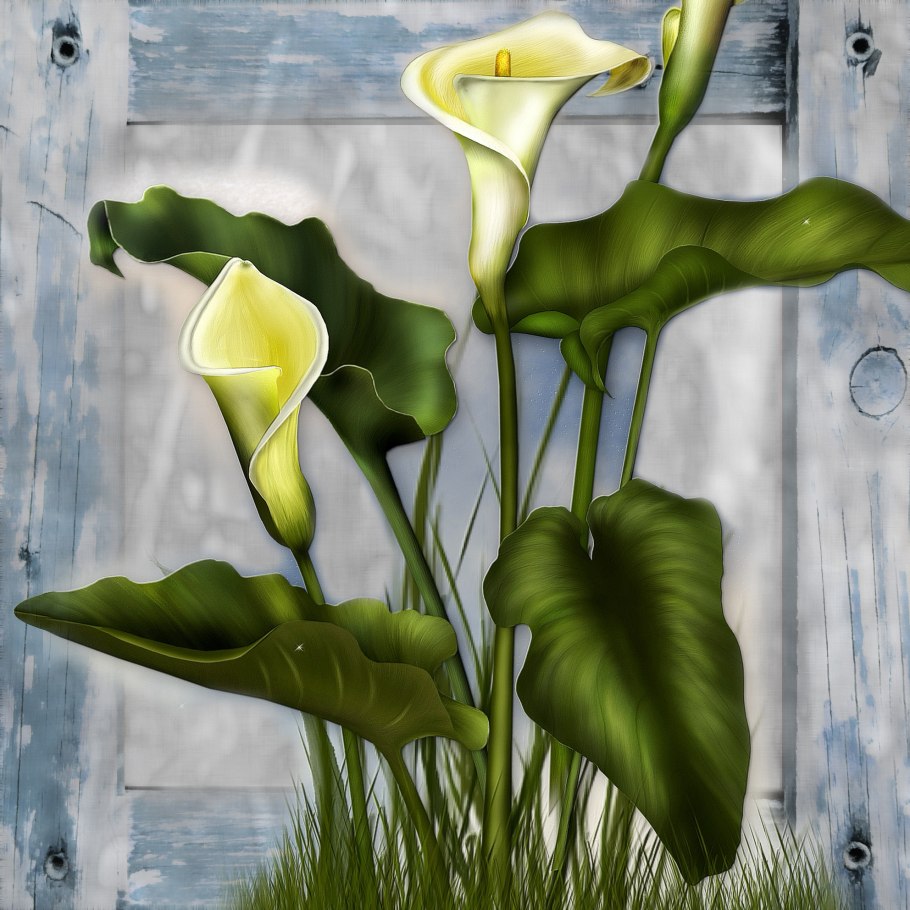 Корейский художник Lee Sung