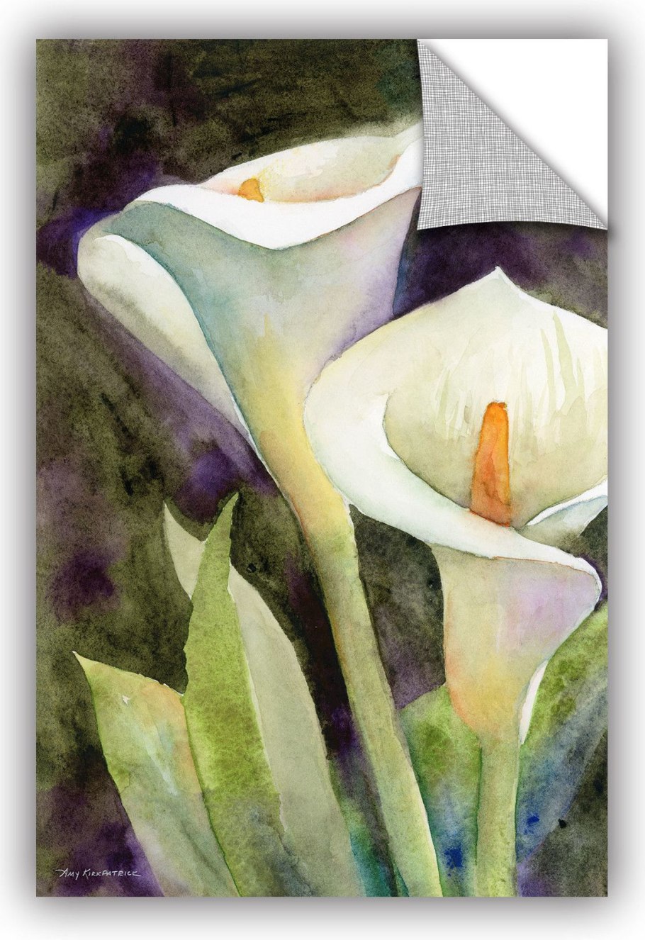 Каллы Абель