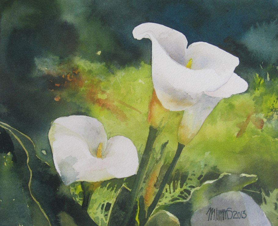 Цветы каллы акварелью