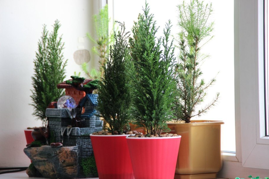 Елка на подоконнике