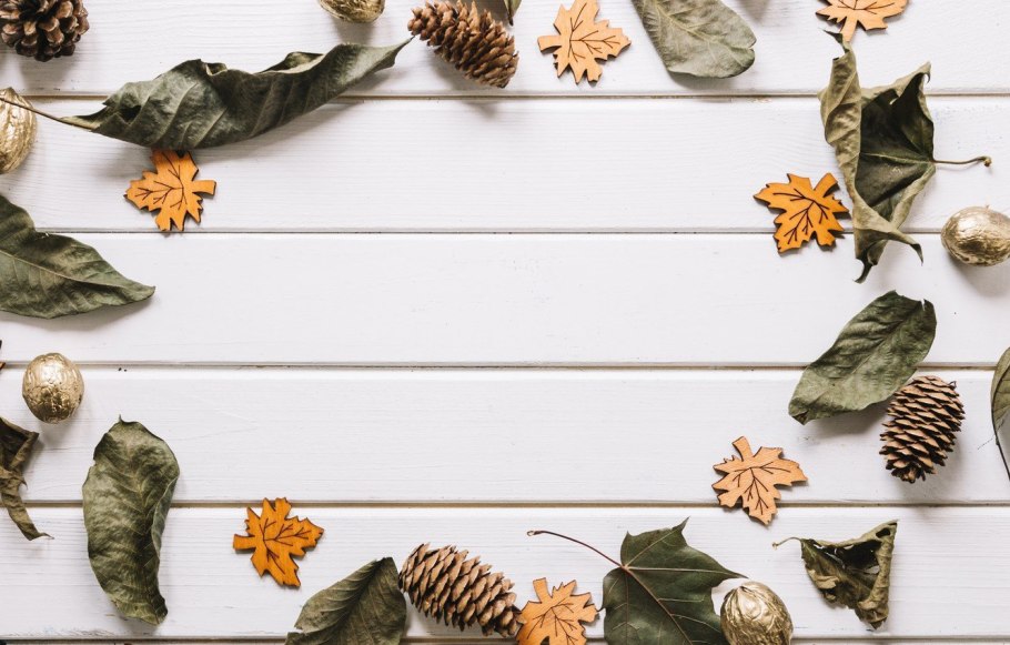 Лиственница Сибирская Larix sibirica