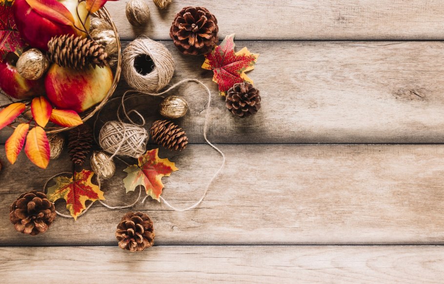 Сосна Банкса шишки