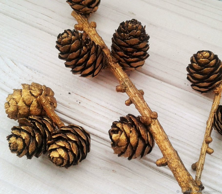 Ольха Сибирская