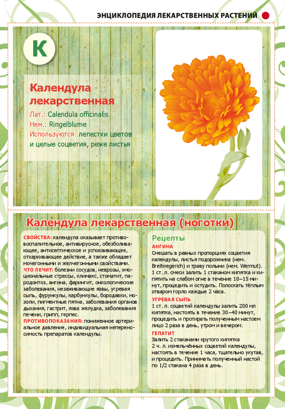 Формула календулы лекарственной