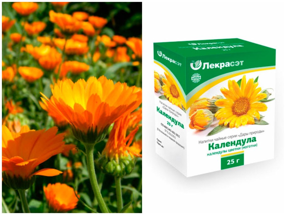 Календула ноготки трава Фитофарм