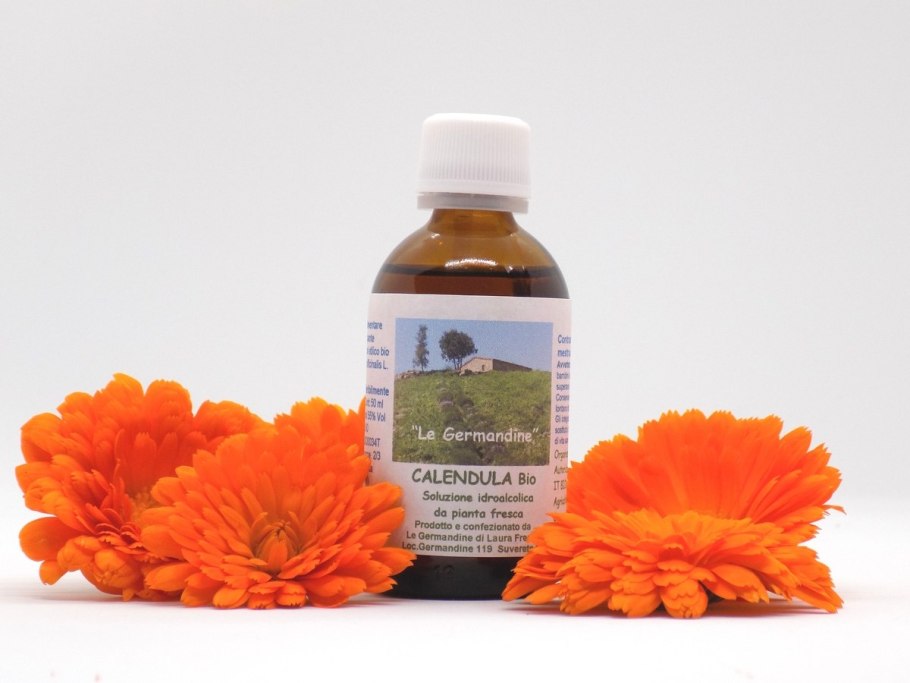 Calendula officinalis Flower extract