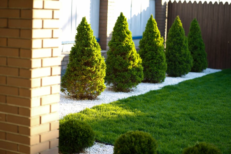 Triumph Indastries ель канадская 1.37