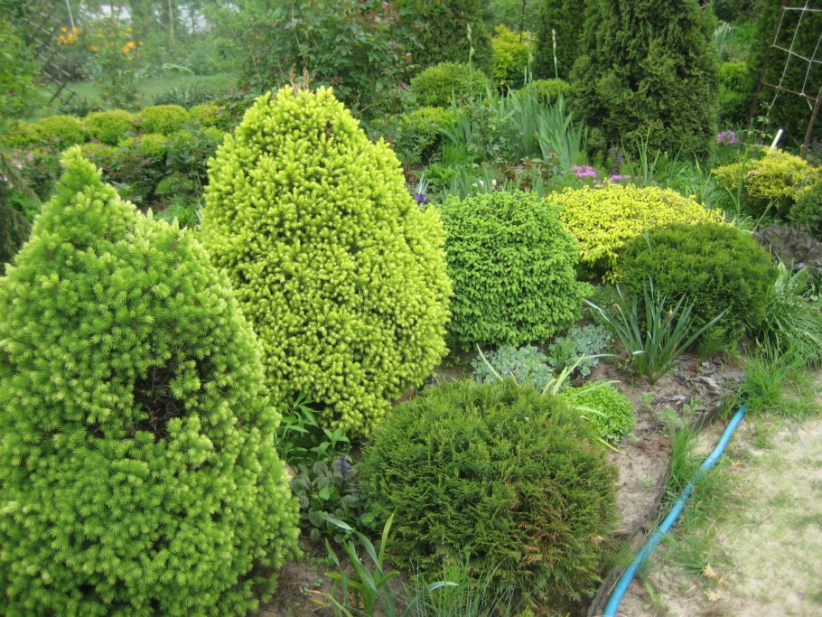 Питомник растений зимой