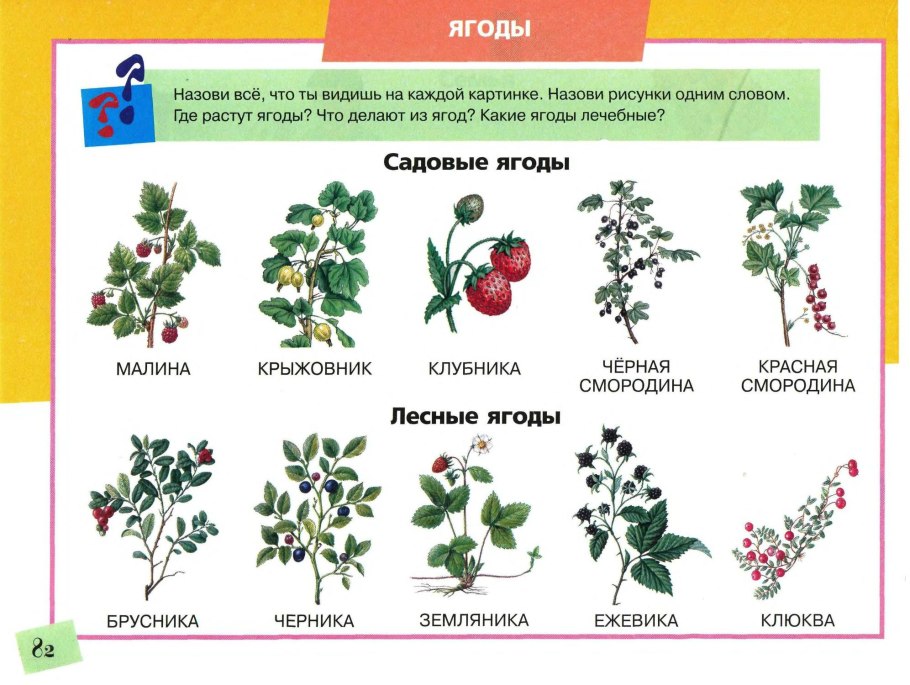 Ядовитое травянистое растение