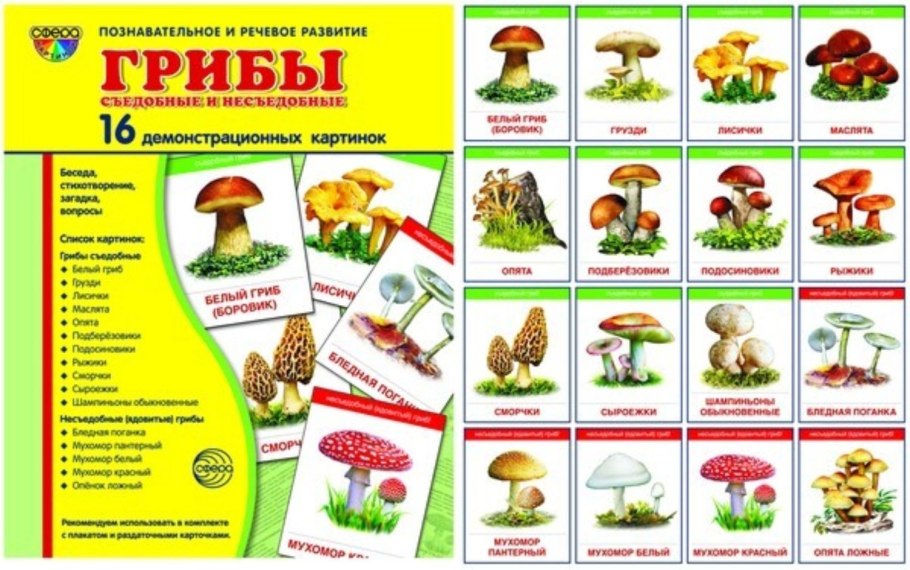 Ягоды Сахалина костяника