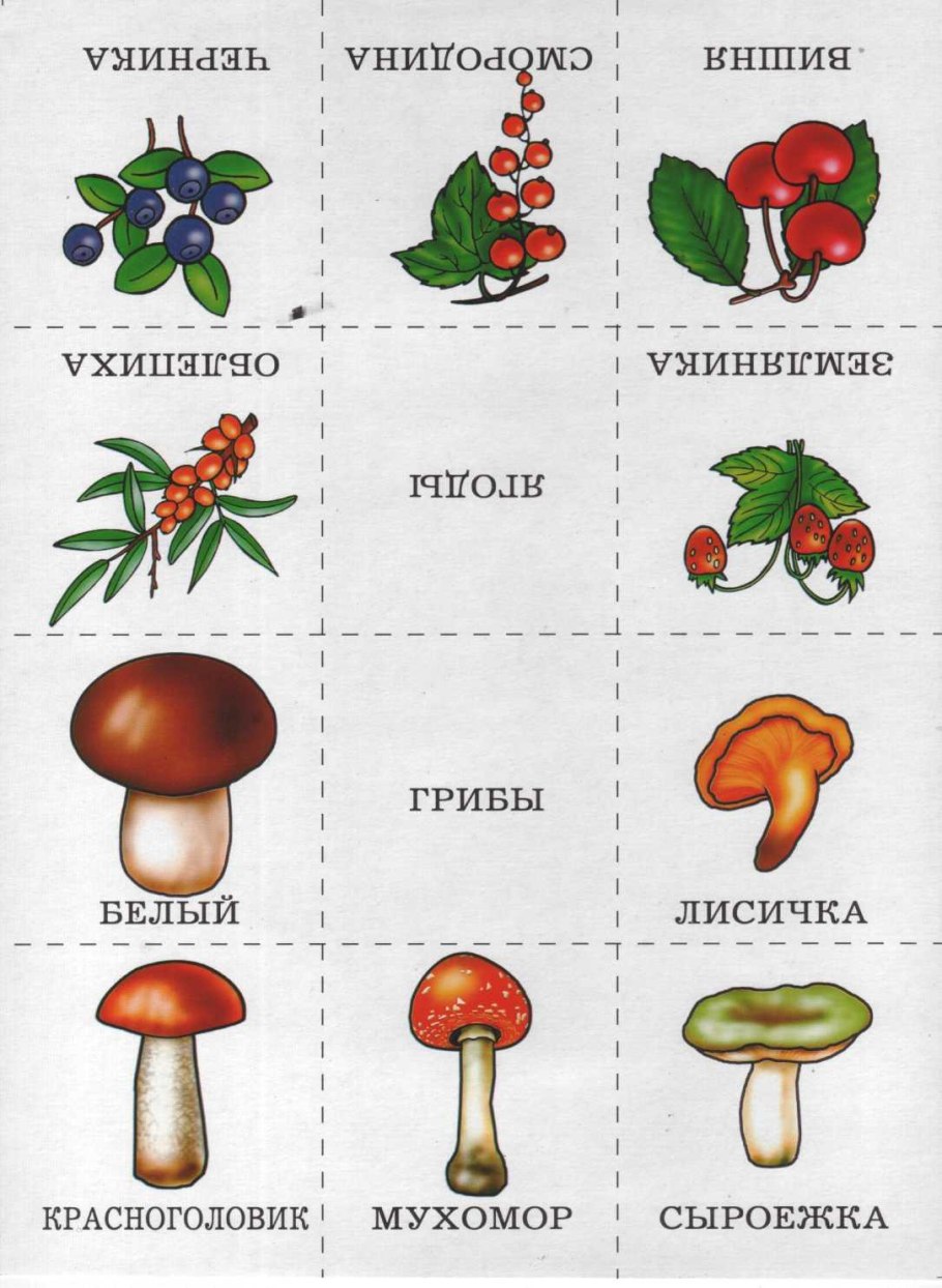 Ядовитые растения России