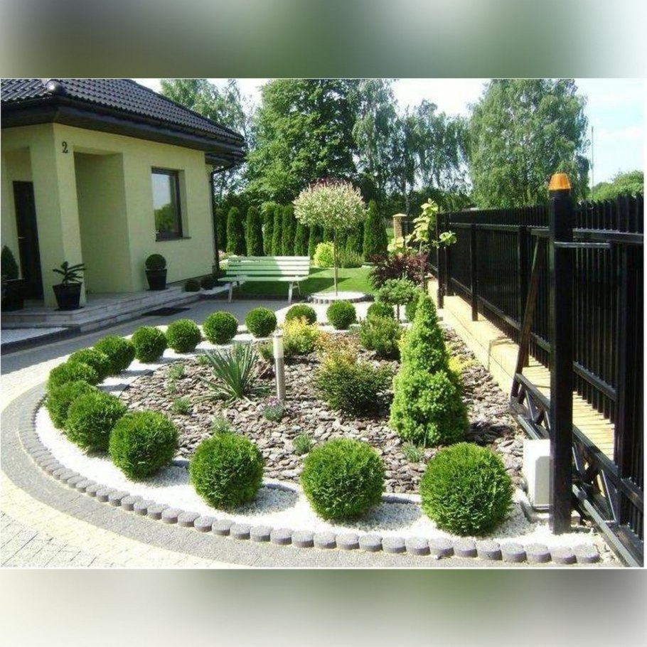 Туя даника в ландшафтном дизайне