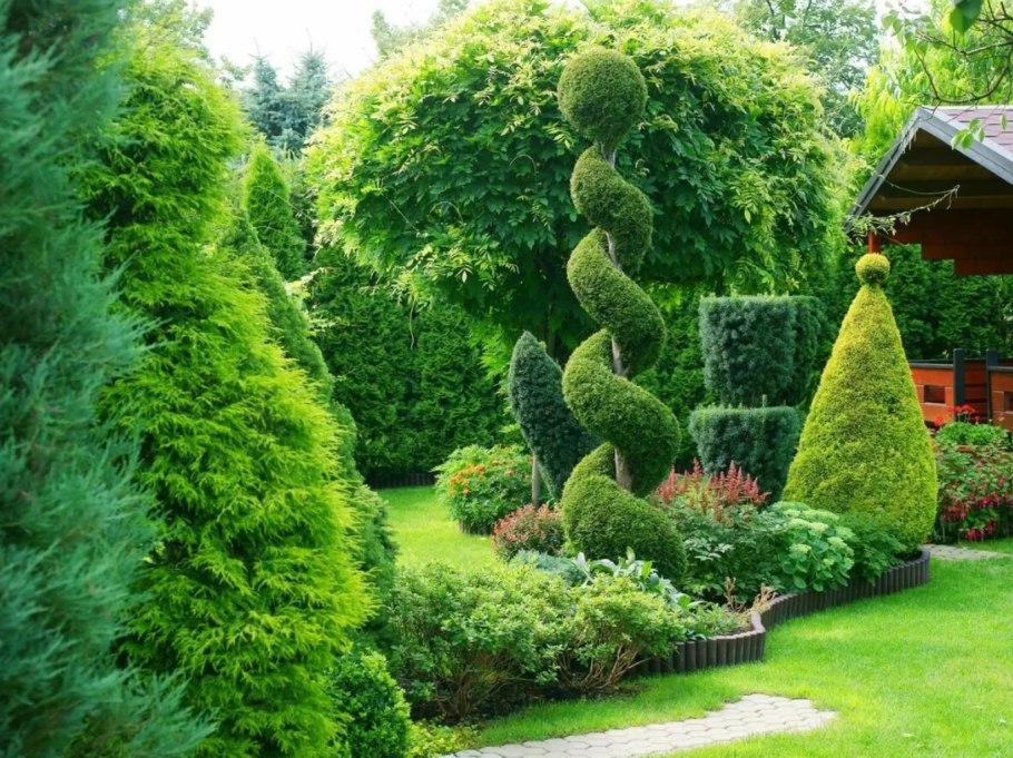 Туи Смарагд Топиар